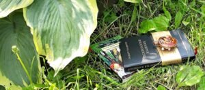 Лайф-коучинг с Марией Носовой