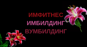 Имфитнес, имбилдинг, вумбилдинг